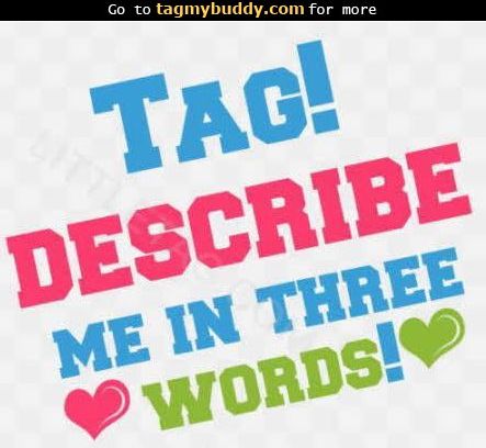 TagMyBuddy-Image-10033-Describe-Me-__