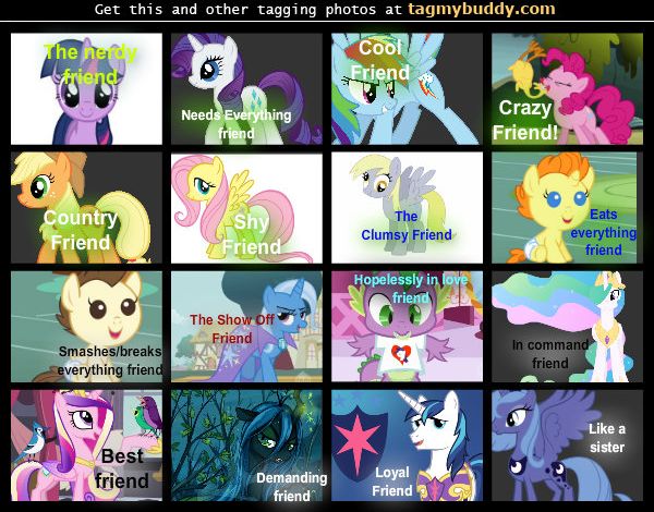 TagMyBuddy-Image-10767-My-Little-Pony-Personalities