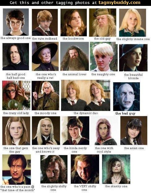 TagMyBuddy-Image-127-Harry-Potter-Personalities
