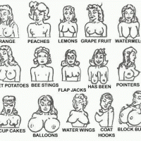 Various Types Of Sex 75